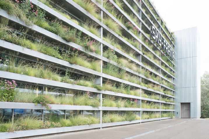 现代建筑与自然植物的设计美学