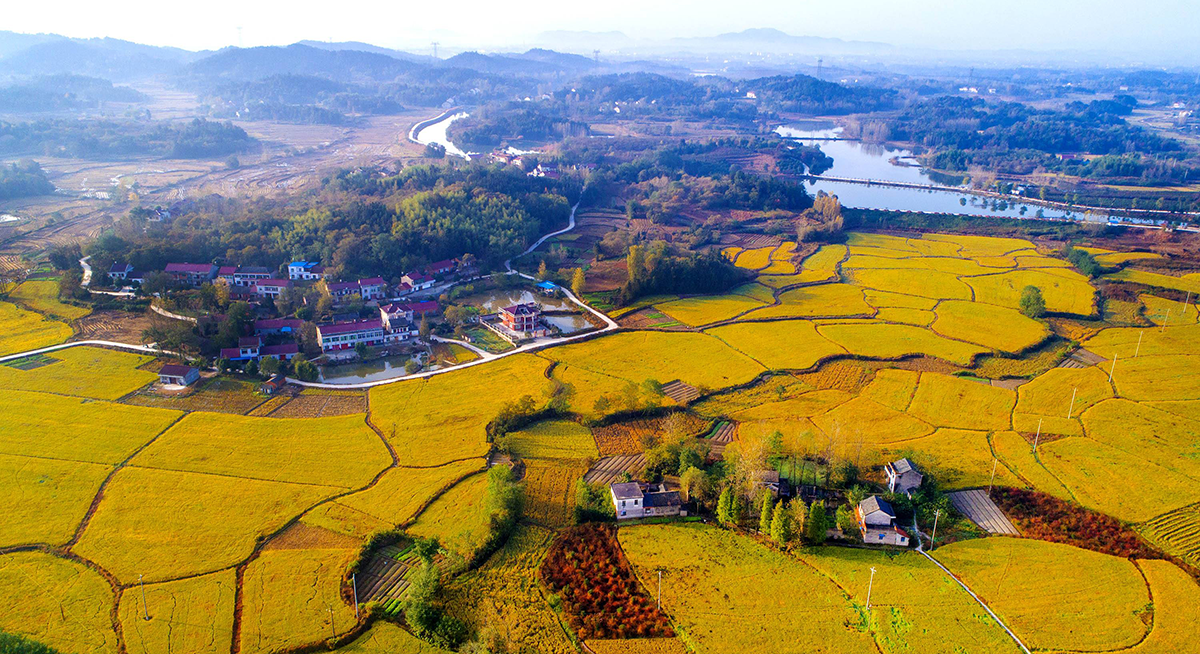 浅谈中国经济社会发展的新亮点-休闲农业