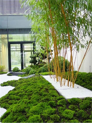 ”竹“与庭院景观的完美结合