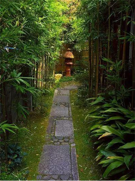 ”竹“与庭院景观的完美结合