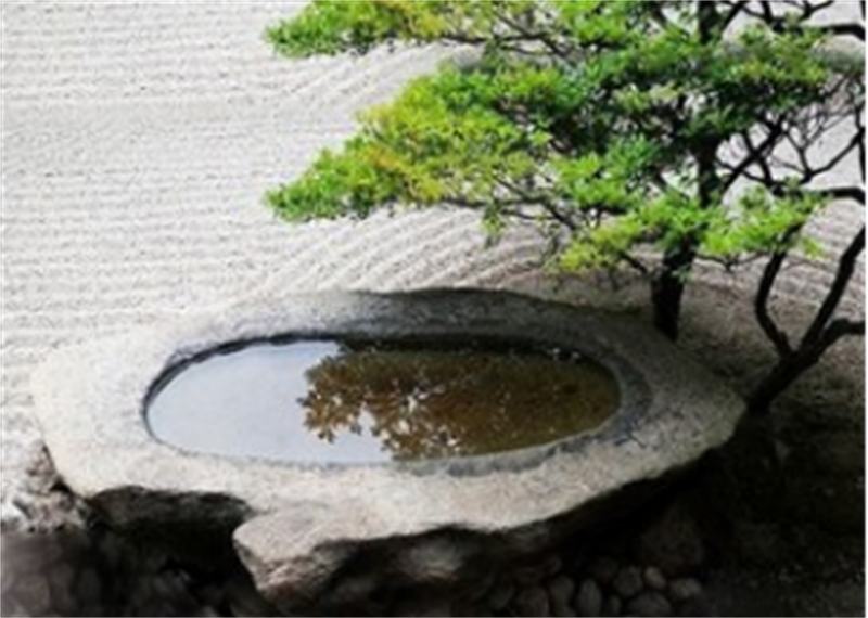 最美乡村禅意空间