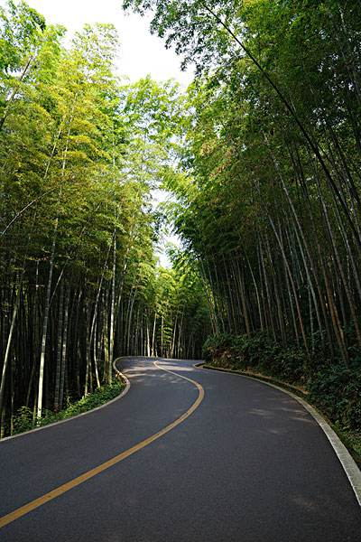 乡村景观提升·从路开始