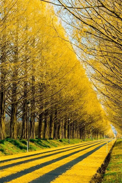乡村景观提升·从路开始