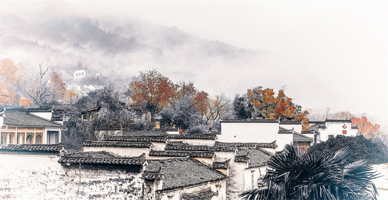 乡村旅游项目失败的主要原因梳理总结