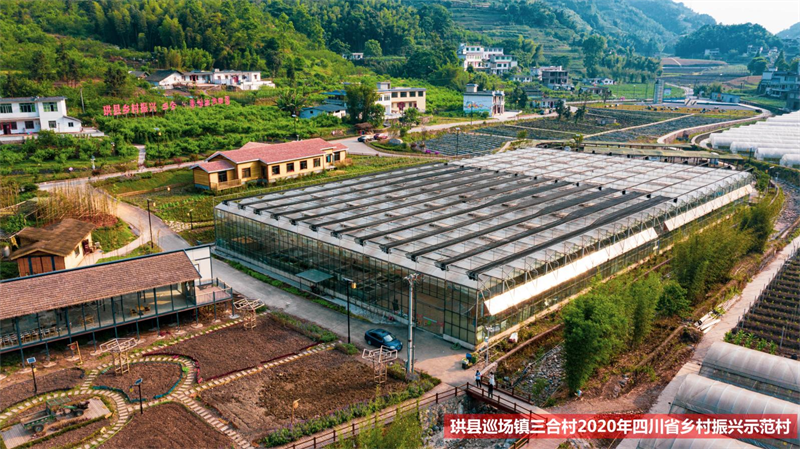 乡村振兴干什么？怎么干？ 中央农办主任、农业农村部部长唐仁健讲透了