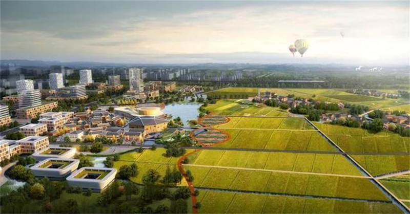 粮油园区产业发展案例解析