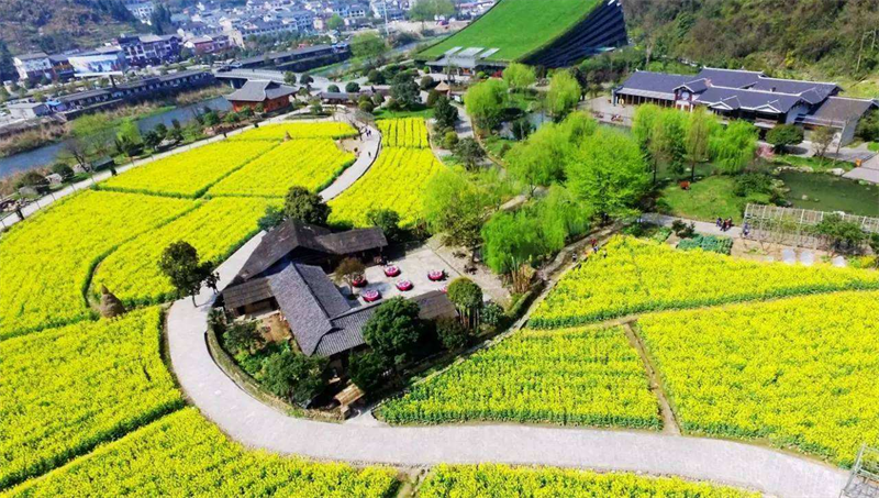 乡村景观的构成