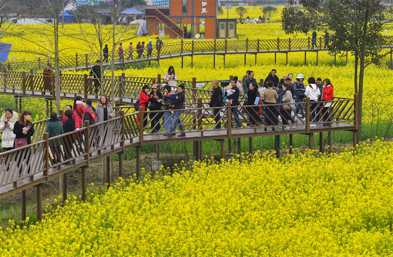 乡村旅游规划同质化破题六大策略