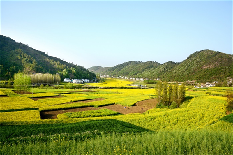 田园综合体景观落地的四要素