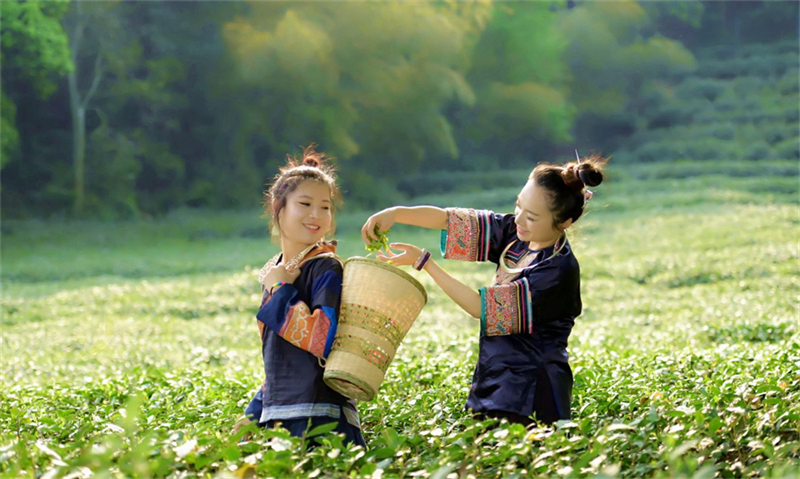 乡村旅游5.0是什么样的？