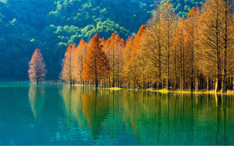 乡村振兴的七大核心点