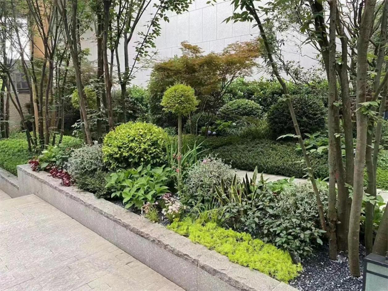 花境植物设计要点