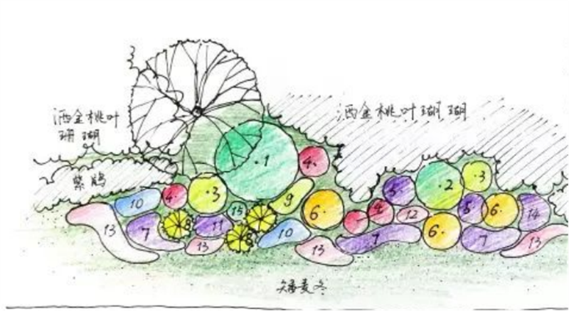 花境植物设计要点