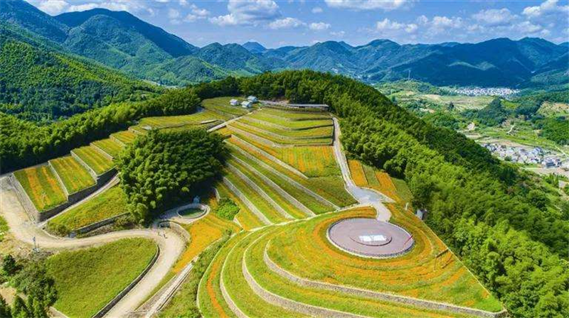 严查乱占耕地建房！已经建了怎么办？今后要建怎么办？