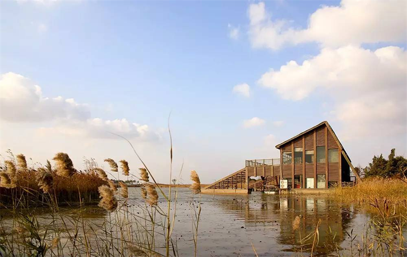 浅谈乡村景观设计建设
