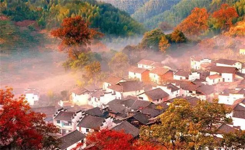 乡村振兴战略规划到底怎么规划？4种发展模式+4种落地方法