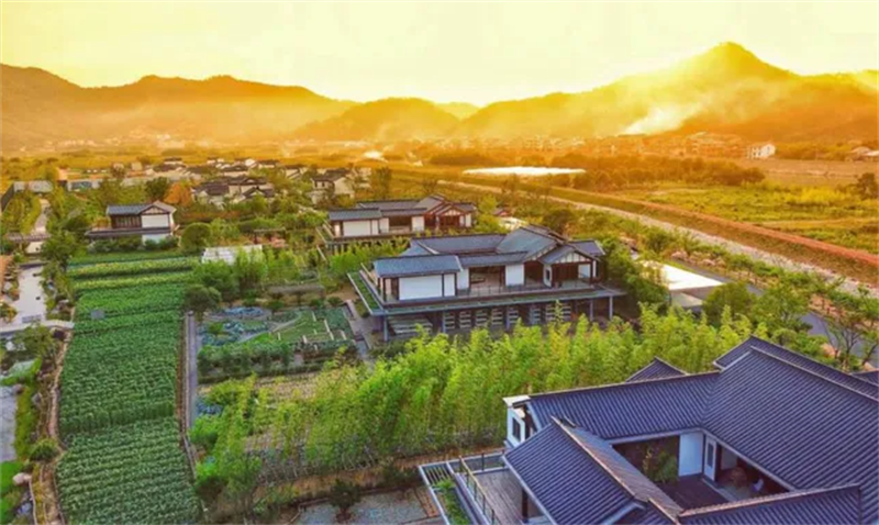 乡村振兴战略规划到底怎么规划？4种发展模式+4种落地方法