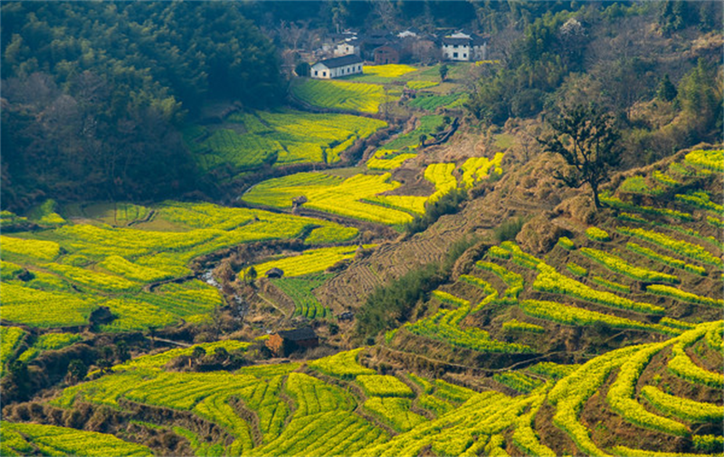 篁岭古村景观改造分析