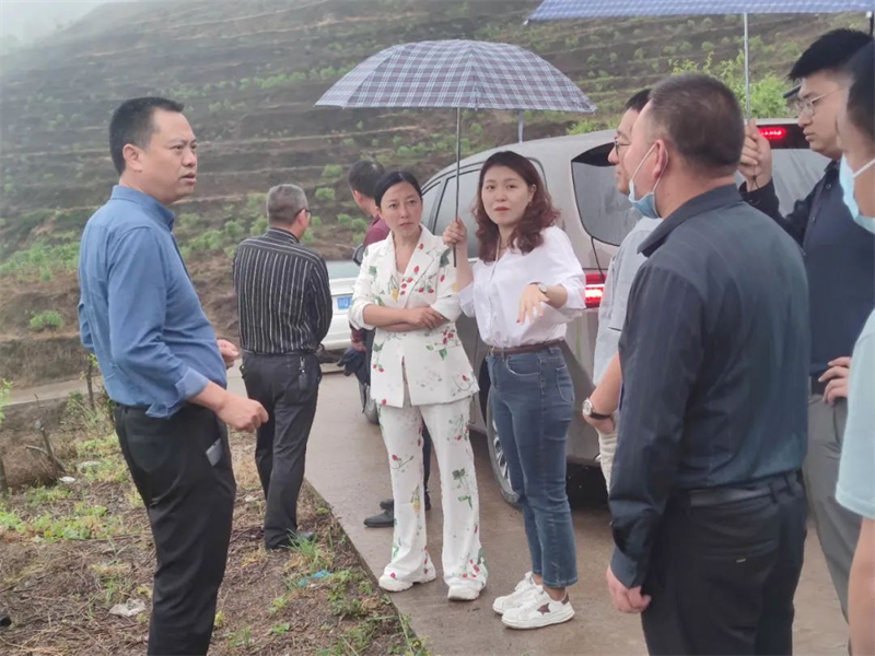 促进会联手会员企业杰心生物科技 共同调研、探讨珙县三合村乡村产业发展