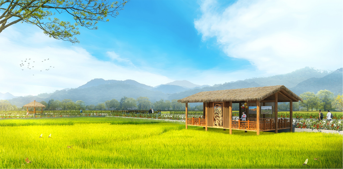 珙县王家镇青山坝乡村振兴示范区(珙县王家镇粮油现代农业园区建设实施项目)工程设计服务采购项目