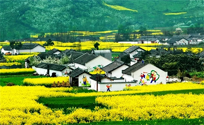 乡村旅游规划设计