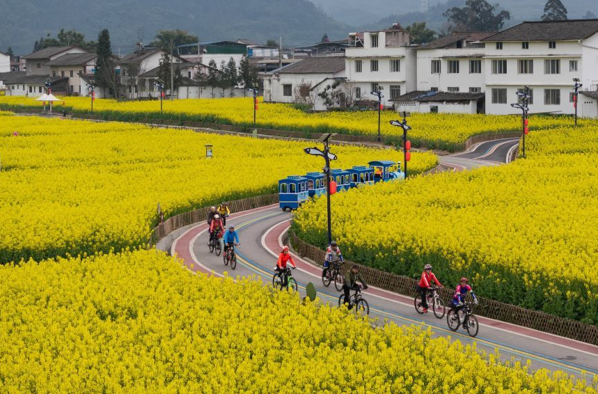 当现代农业园区遇见乡村农旅
