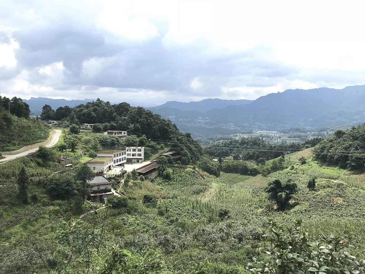 千蜀农旅与玉和苗族乡在乡村振兴路上携手前行