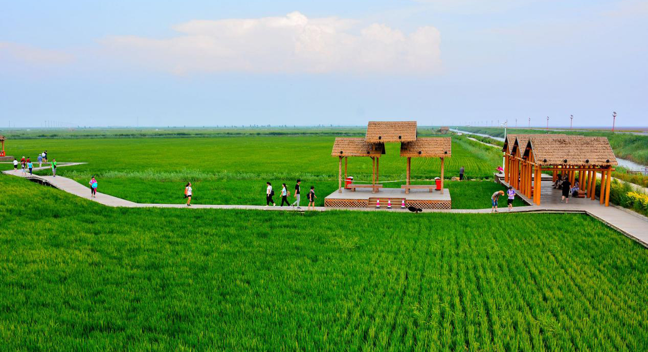 中国乡村旅游发展的痛点