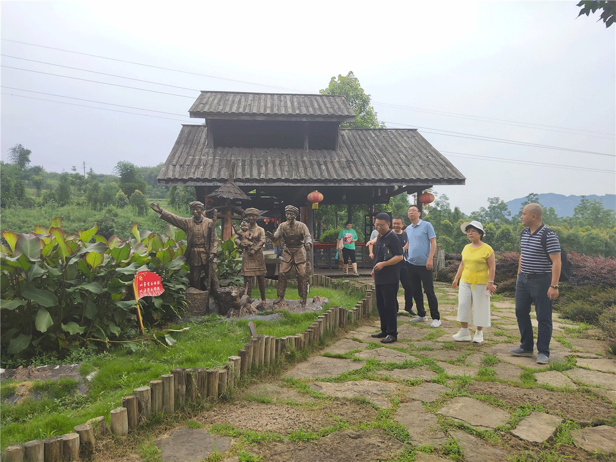 千蜀随珙县领导调研兴文县石菊古地