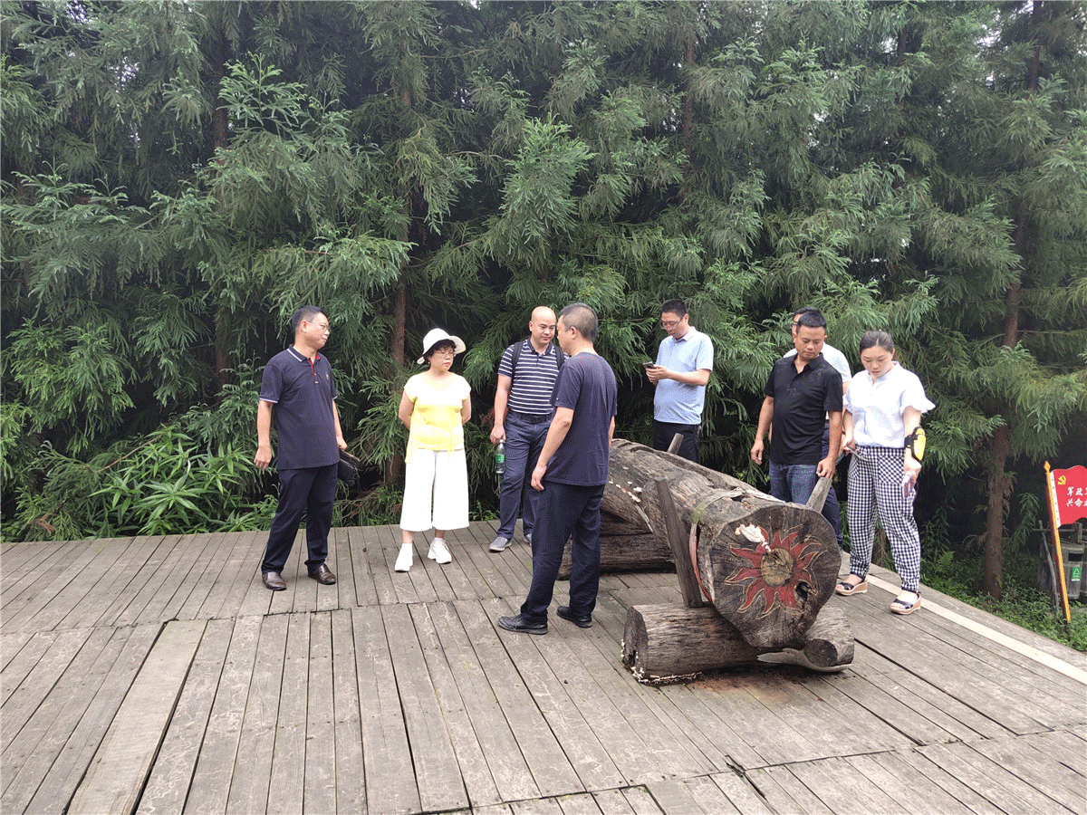 千蜀随珙县领导调研兴文县石菊古地