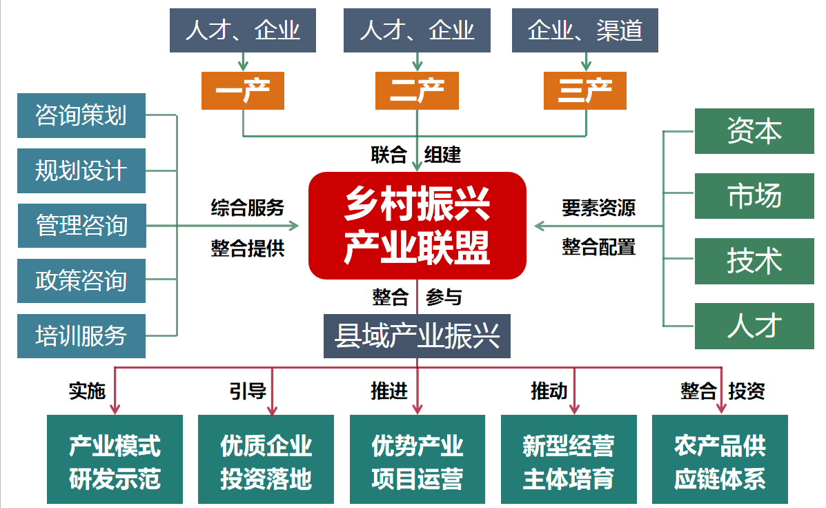 县域乡村产业振兴运营架构