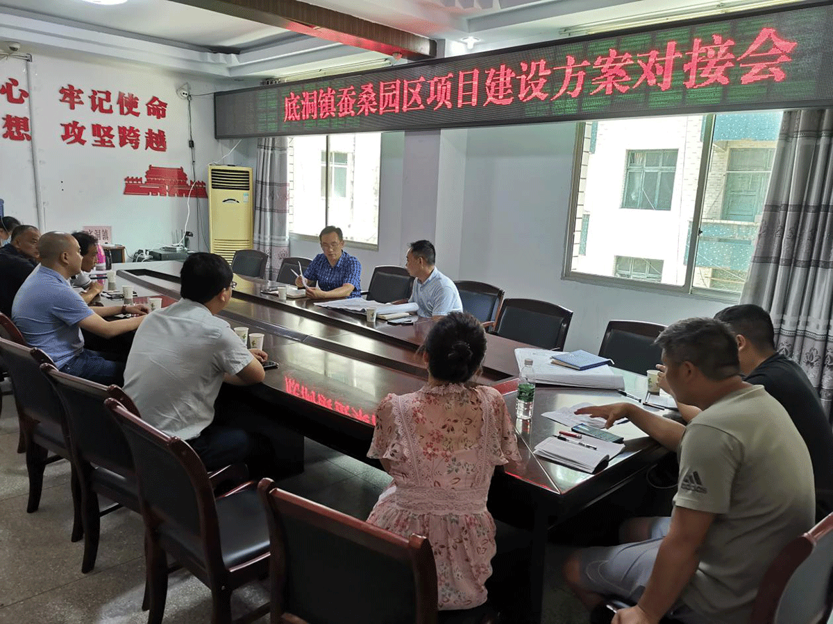 底洞镇蚕桑产业园总体规划方案已于2019年完成并通过政府会议审核，具体专项设计正在有序顺利地展开。