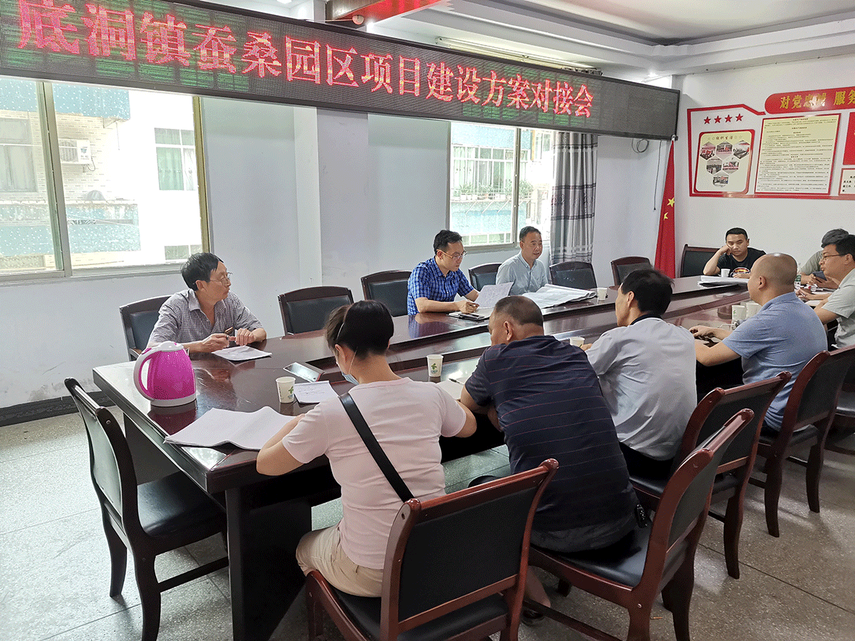 底洞镇蚕桑产业园总体规划方案已于2019年完成并通过政府会议审核，具体专项设计正在有序顺利地展开。