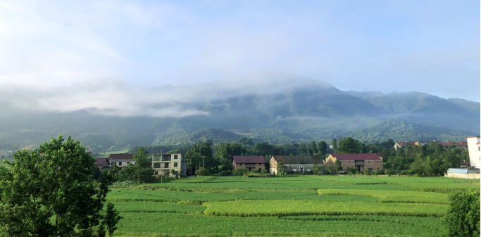 乡村旅游如何发展，这五种发展模式，你知道吗？