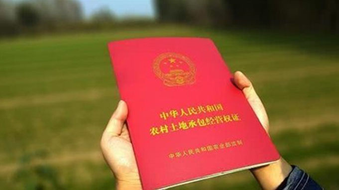浅谈乡村振兴应从哪几个方面入手