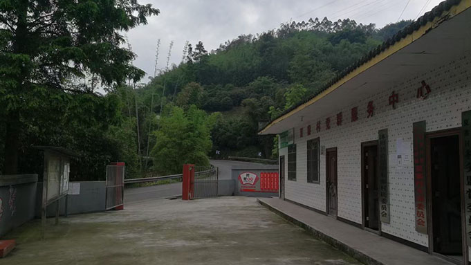 沐川县夏寨村实地调研