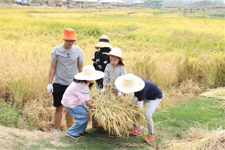 美丽乡村背景下乡村庭院景观设计的探讨