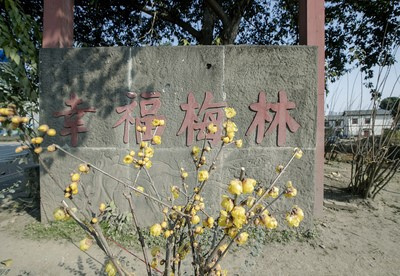 乡村旅游