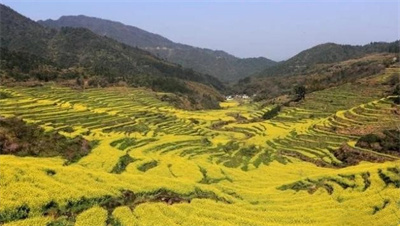 乡村旅游