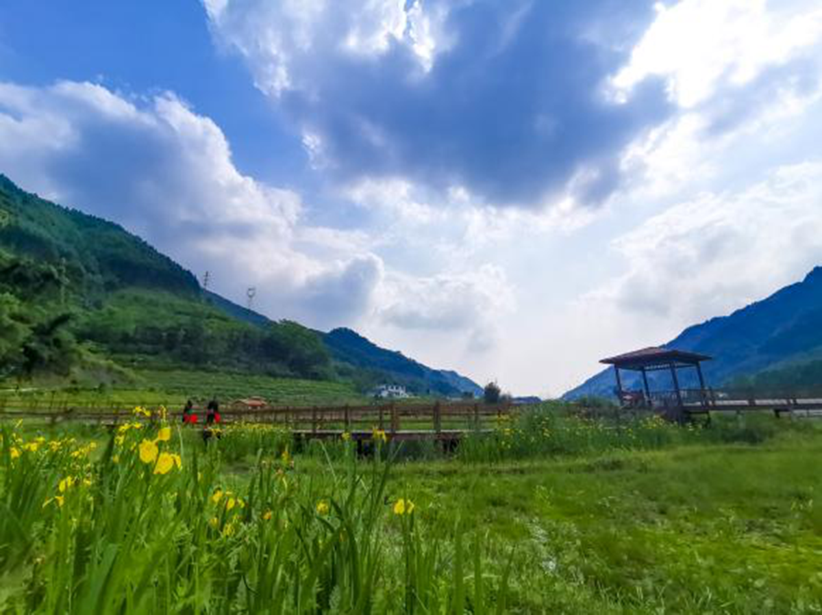 宜宾三合村文化旅游项目规划设计（四川首批乡村振兴示范村）