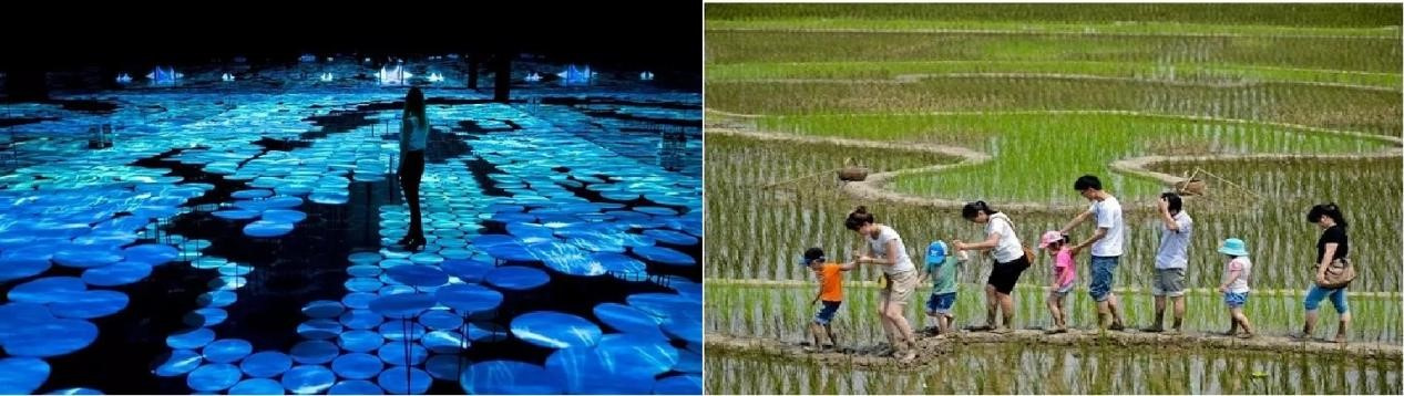沉浸式体验在乡村景观设计中应用