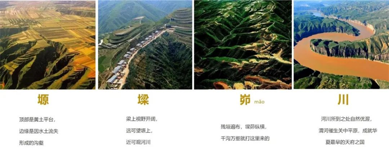 案例分享|复苏乡村烟火气——“西府里”文化艺术村