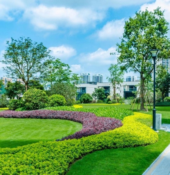 浅析彩叶植物在景观设计中的运用