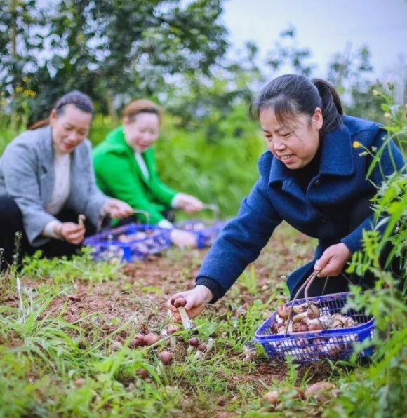 现代化种养循环串起绿色农业生态链